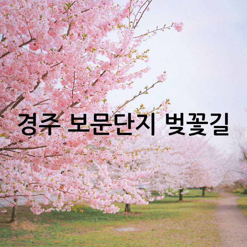 우리나라 3대 벚꽃길 총정리