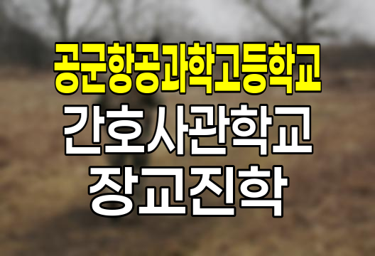 공군항공과학고등학교 졸업 후 간호사관학교 및 공군사관학교 진학 완벽 안내