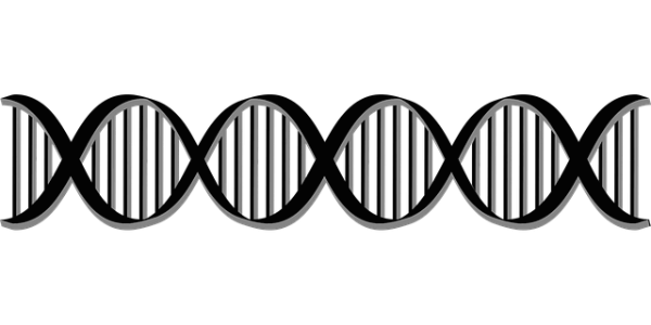 줄기세포로무릎치료를할수있다고