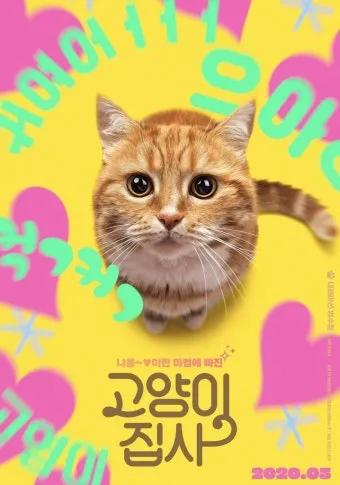 고양이가 집사를 사랑할때 하는 행동_7
