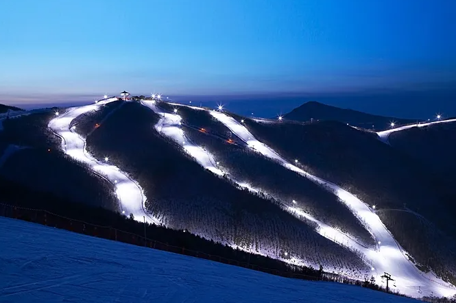 하이원리조트 스키장