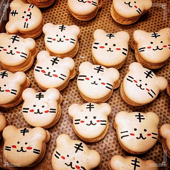 진심 가득 건강 담은 맛 남산 명동 맛집 추천 생방송투데이 커피 티라미수 마카롱 치즈케이크 디저트 오늘방송 떴다 동네방네