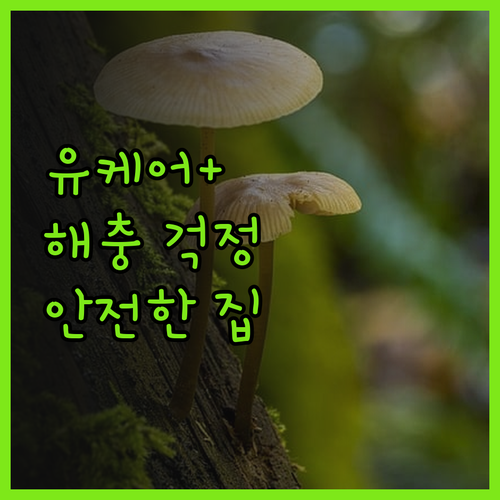 안전한 우리 집, 유케어플러스로 해충