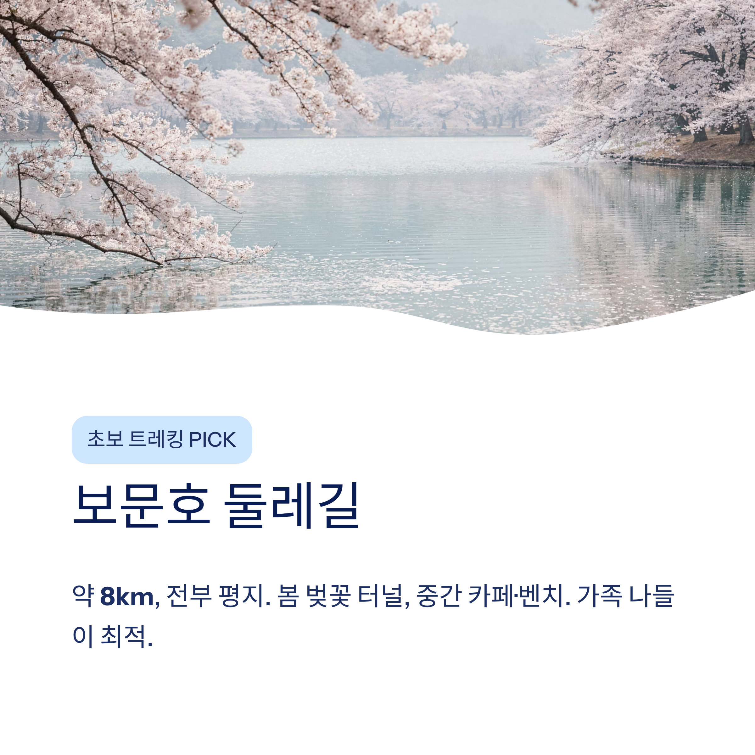 경주 근교 산책 달리기 트레킹 코스 추천 ❘ 천년 고도를 두 발로 걷는 법