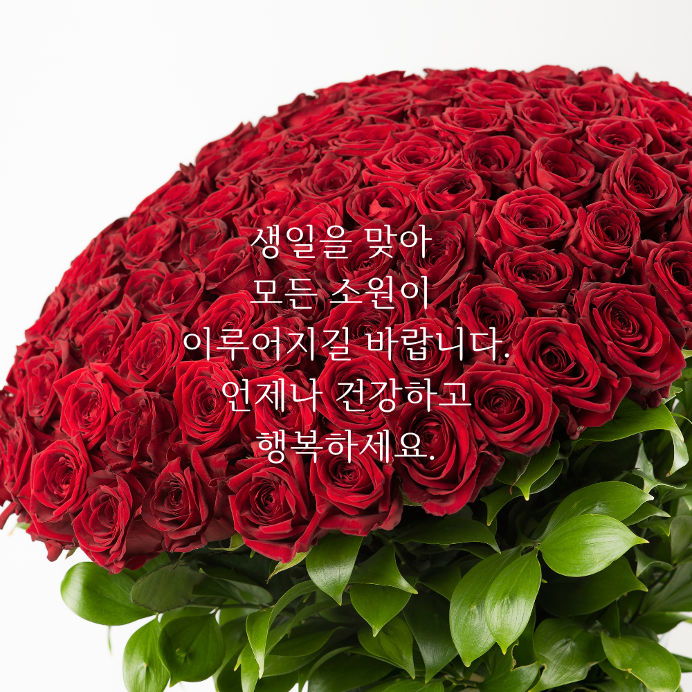 생일 축하 메세지 이미지 생일 축하 꽃다발 이미지 문구 모음