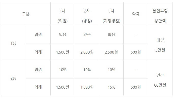 의료급여-본인부담금
