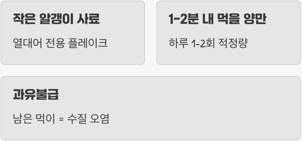 작은 입에 쏙! '먹이' 주는 요령