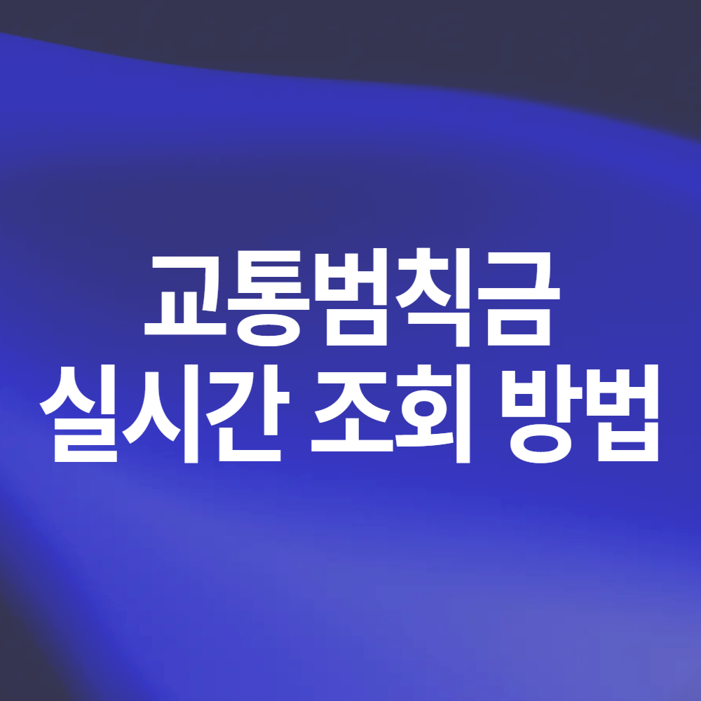 실시간 교통위반 교통 범칙금 조회 방법