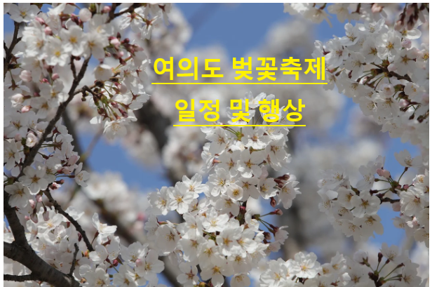 여의도 벚꽃축제