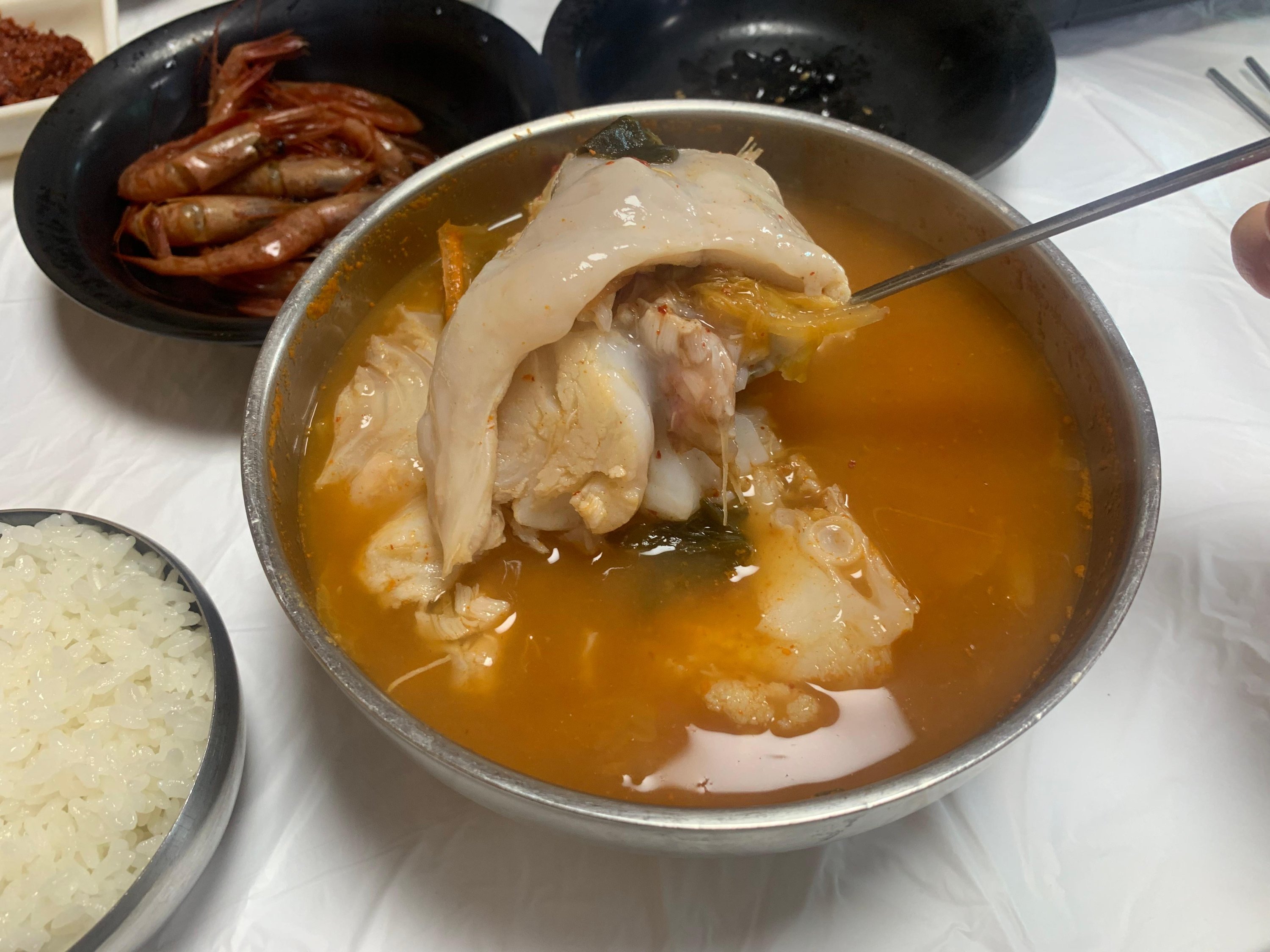 묵호 거북이횟집 곰치국 후기 내돈내산