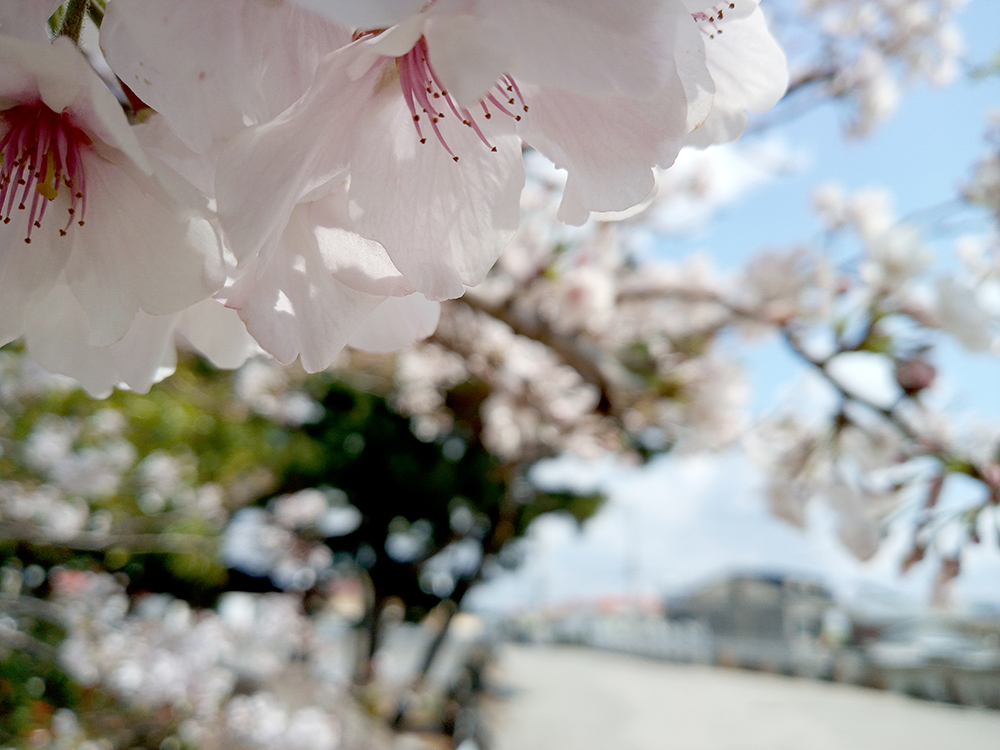 올레5코스&#44; 남원포구에서 쇠소깍까지