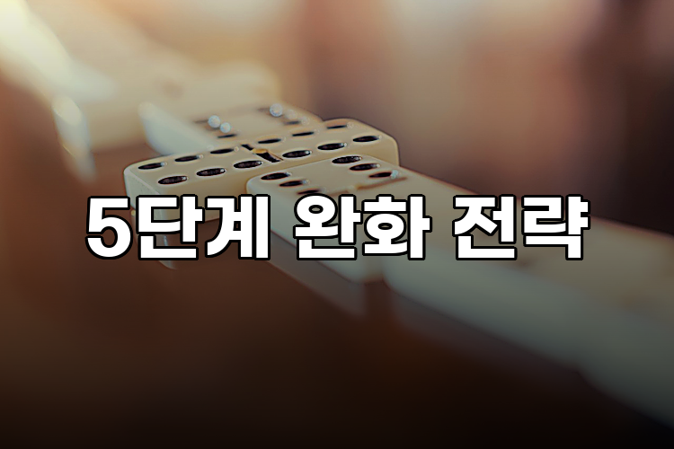5단계 완화 전략
