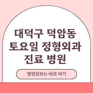 대덕구 덕암동 토요일 정형외과 진료 병원 리스트