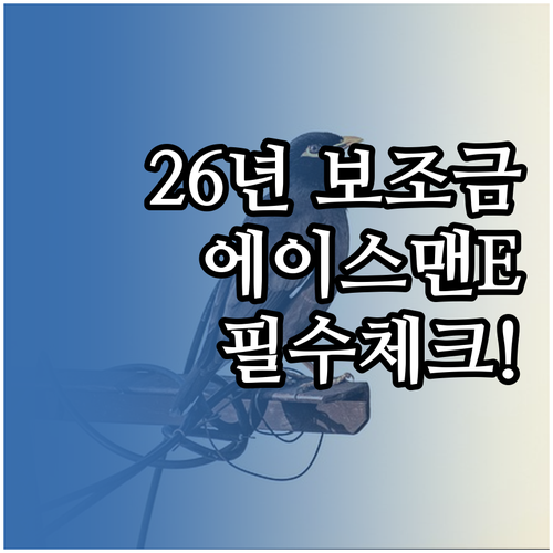 미니 에이스맨 E 2026년 보조금 ..