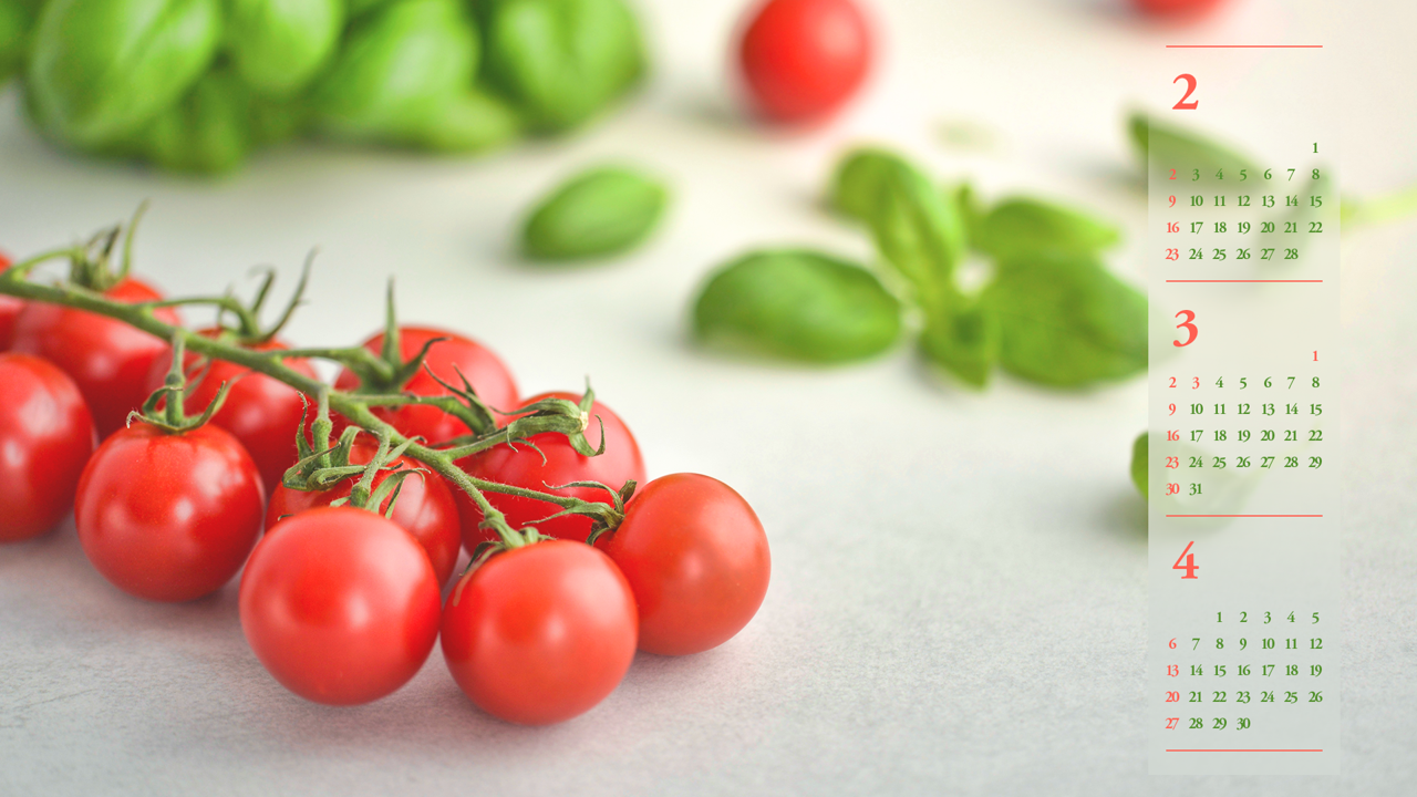 11 방울토마토 B - 2025년3월 노트북배경화면