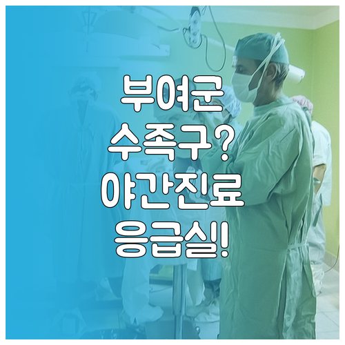 부여군 수족구 야간 진료 병원 및 응..
