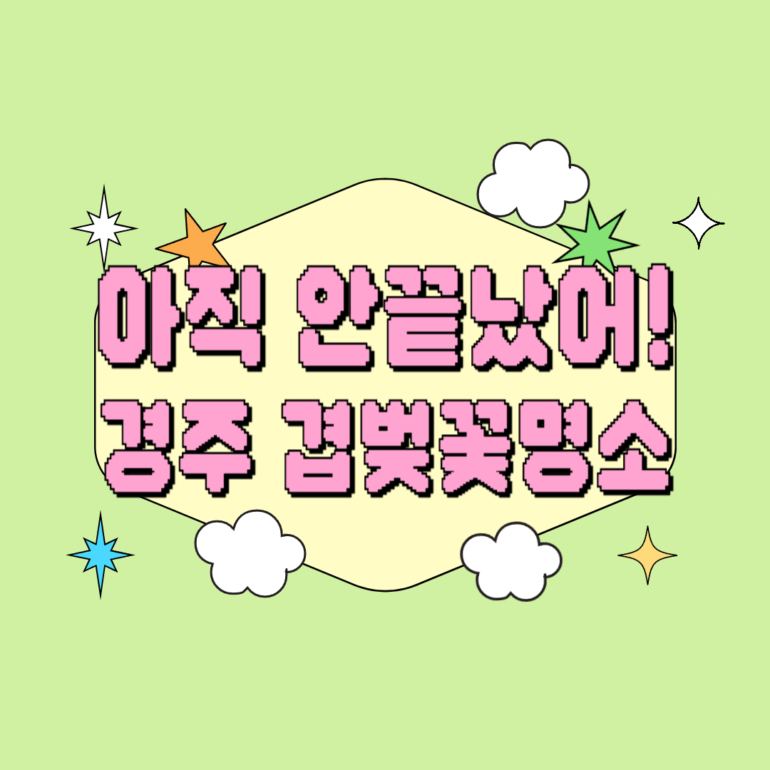 [경주 겹벚꽃 명소]벚꽃놀이 아직 안끝났어요, 경주 겹벚꽃 명소 가이드