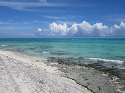 오키나와 1월 날씨