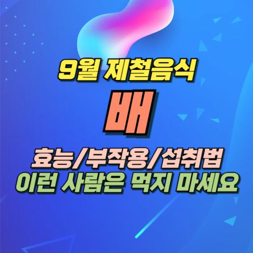 9월 제철과일 배