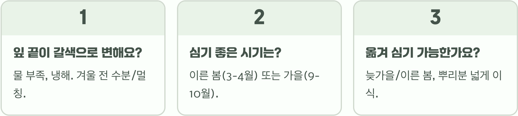 서양측백나무 성장 속도, 1년에 얼마나 자랄까?