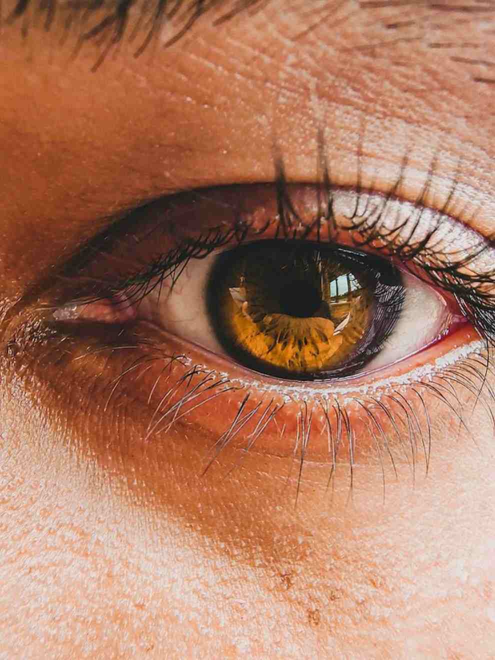 루테인 지아잔틴 아스타잔틴