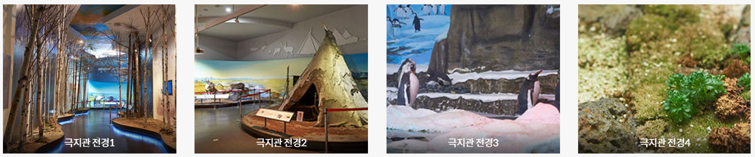 충남 서천 국립생태원 에코리움: 세계 5대 기후 체험과 주요 전시관, 백패커 방문