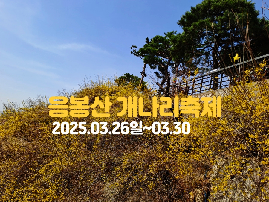 개나리축제-썸네일