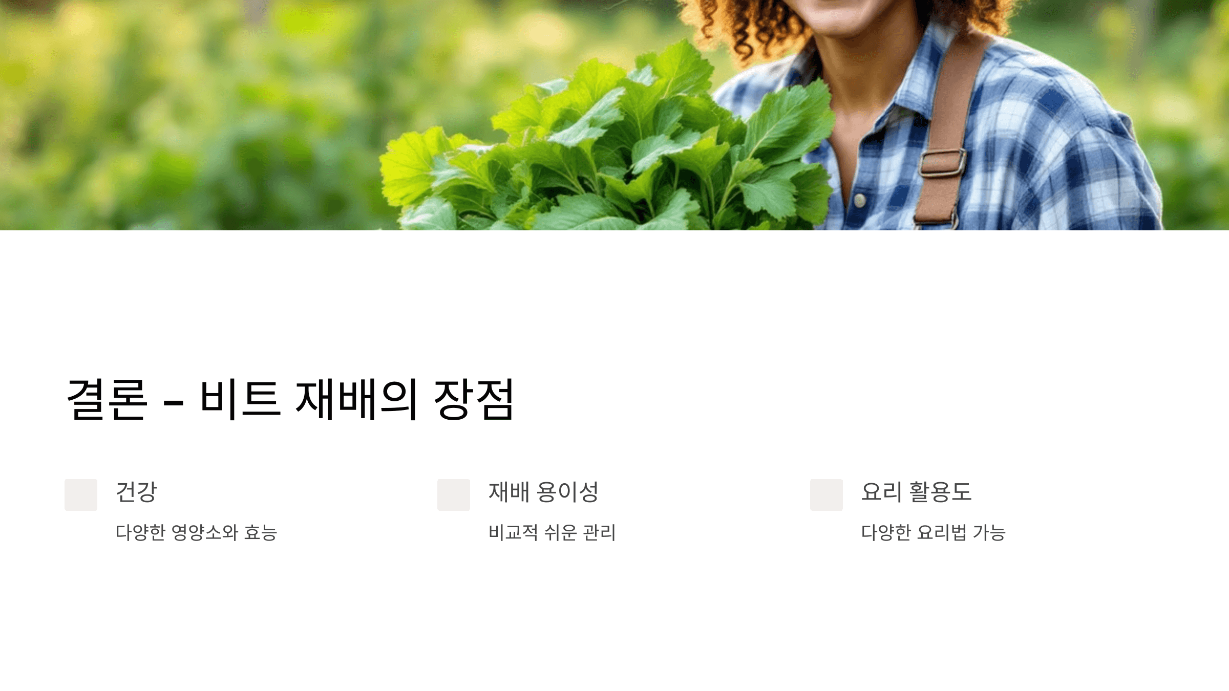 비트 사진입니다.