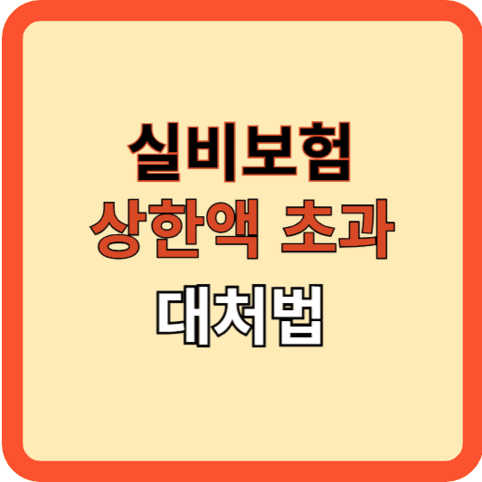 실비보험 청구, 본인부담 상한액 초과 시 대처법