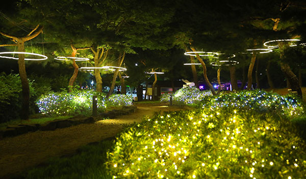 부여 연꽃축제 야경