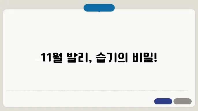 발리 11월 날씨 - 습도 높은 시즌 주의사항