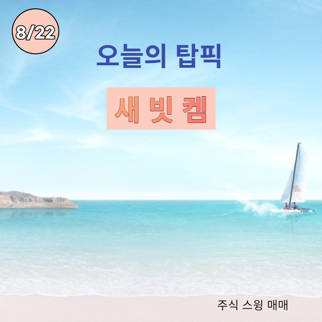 새빗켐
