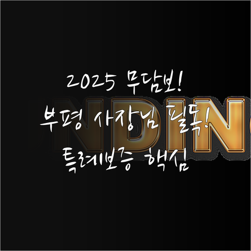 인천 부평구 2025년 소상공인 특례..