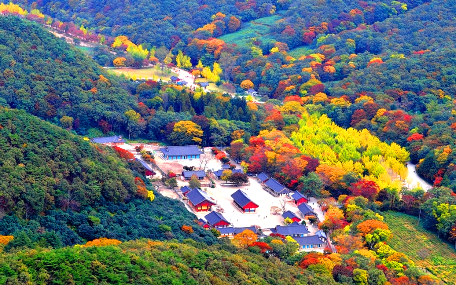 선운사