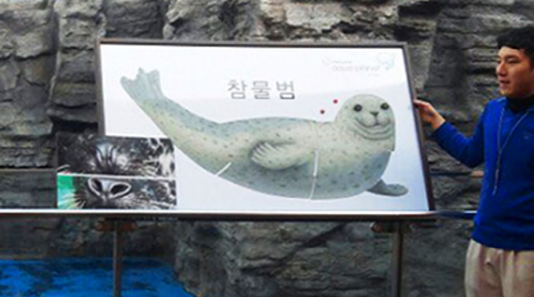 여수 아쿠아리움