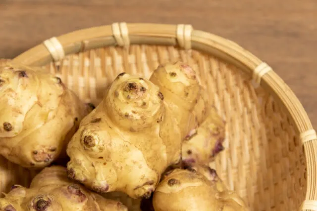 포만감 유지 돼지감자 효능