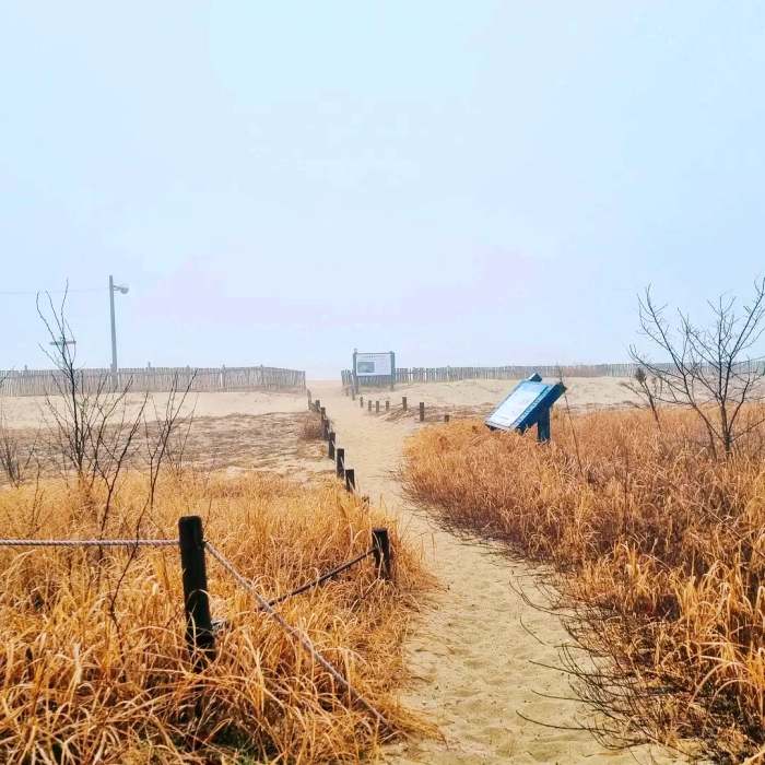 생생정보 조회 수 75만 뷰 은퇴 부부의 해루질 낮루질 촬영 도전기 영상