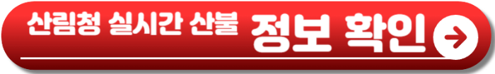 산불 현황