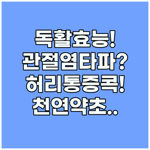 독활 효능 관절염과 허리 통증에 좋은..