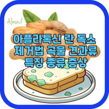 아플라톡신 란 독소 제거법 곡물 견과류 특징 종류 증상