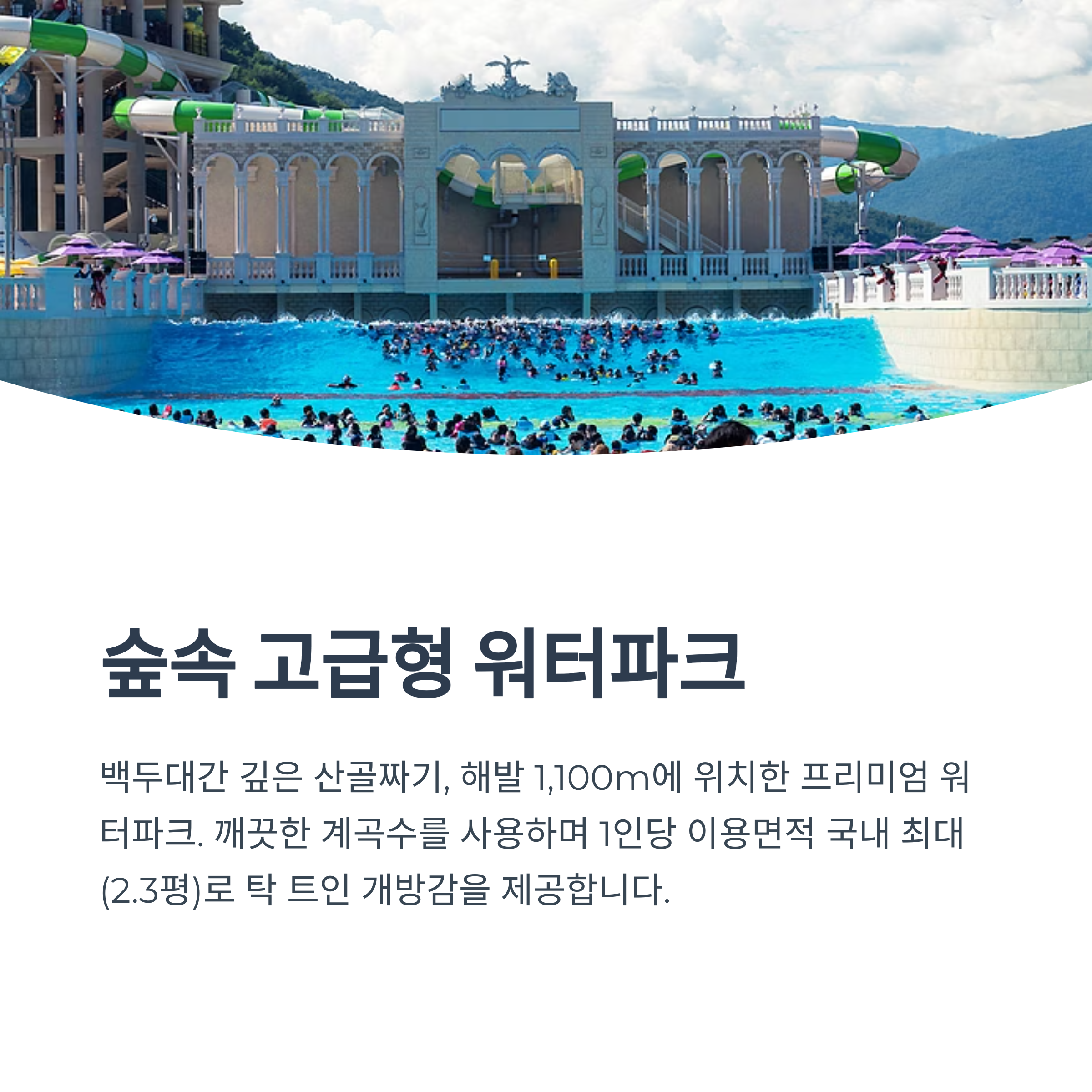 하이원워터월드 완벽가이드