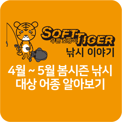 4~5월 봄낚시 대상 어종 title