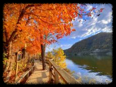 장태산 자연휴양림 가을 단풍 명소&amp;#44; 예약 방법과 필수 확인 사항