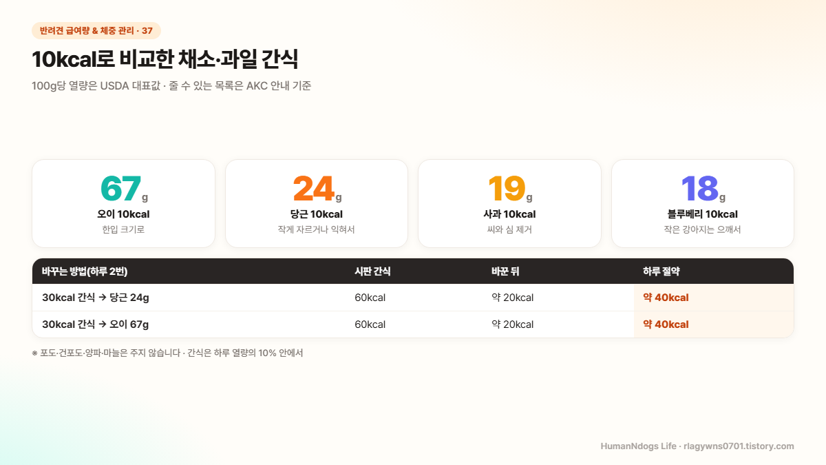 10kcal로 비교한 채소&middot;과일 간식 도식 &mdash; 100g당 열량은 USDA 대표값 &middot; 줄 수 있는 목록은 AKC 안내 기준