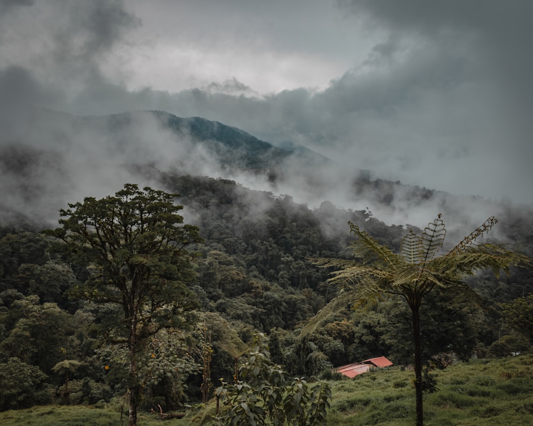 Rainy season.