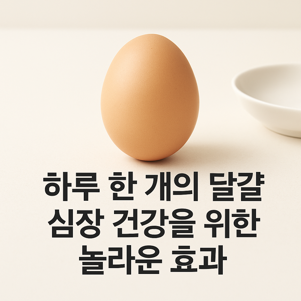 하루 한 개의 달걀 심장 건강을 위한 놀라운 효과