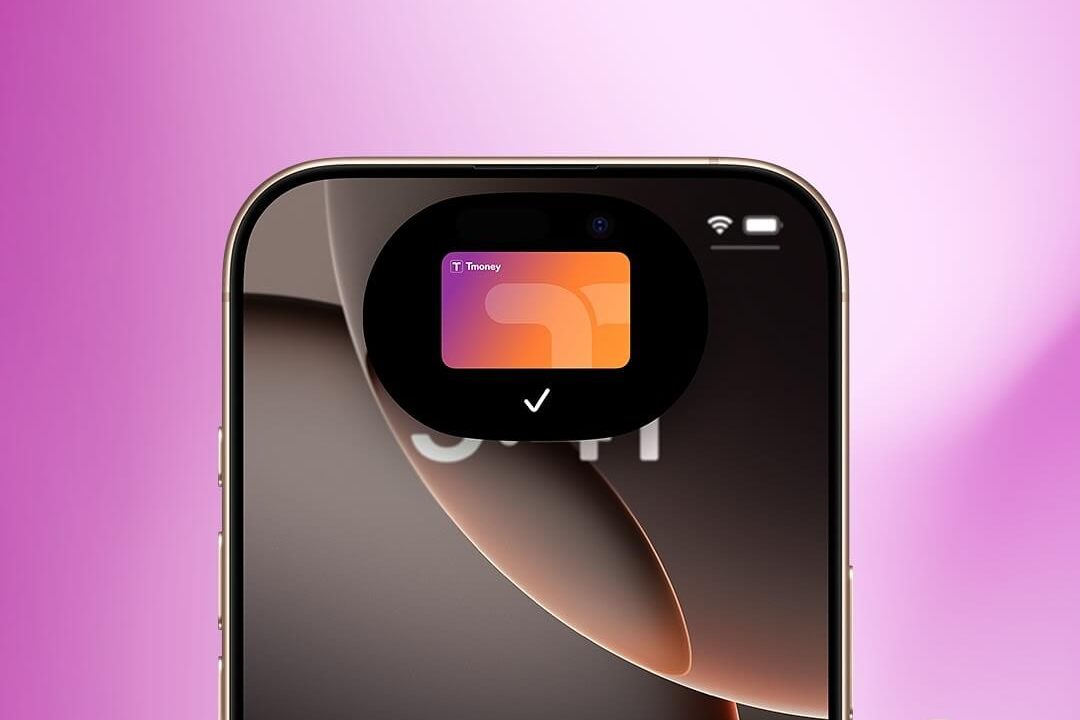 애플페이 티머니 출시