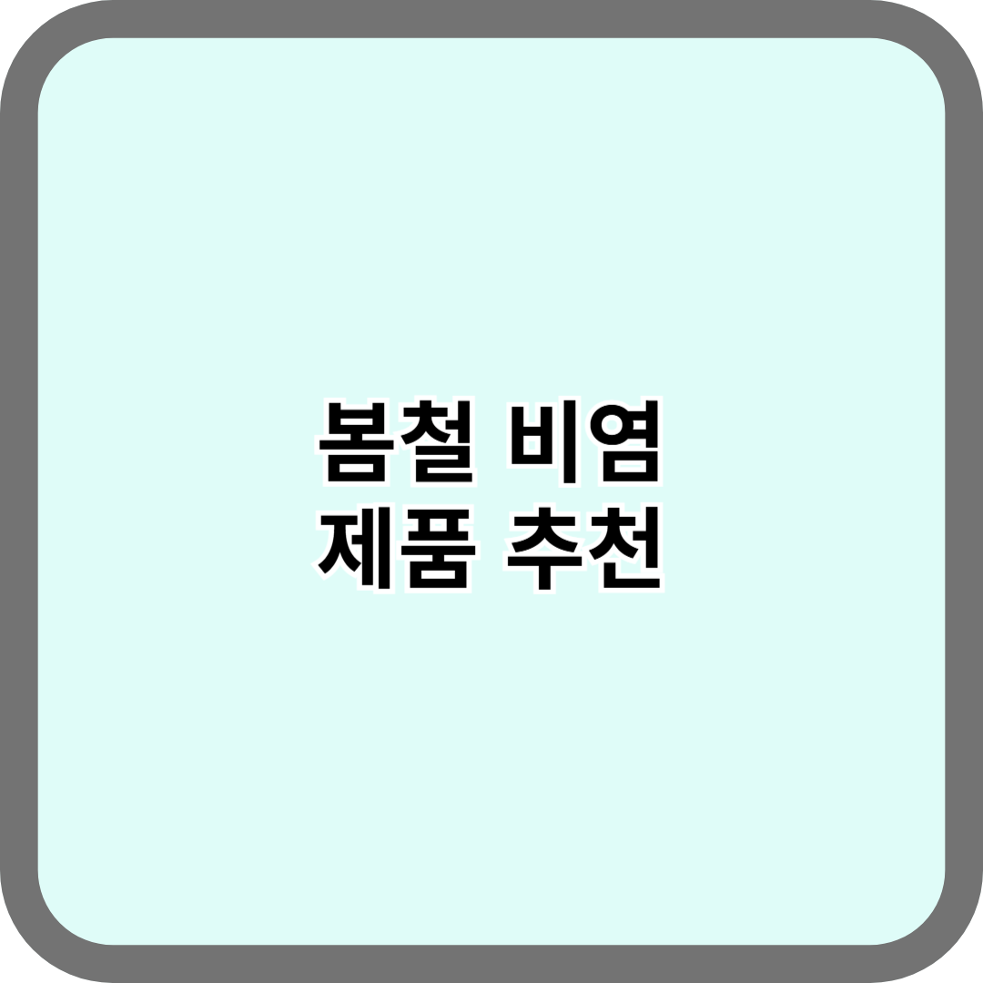 봄철 비염 제품 추천