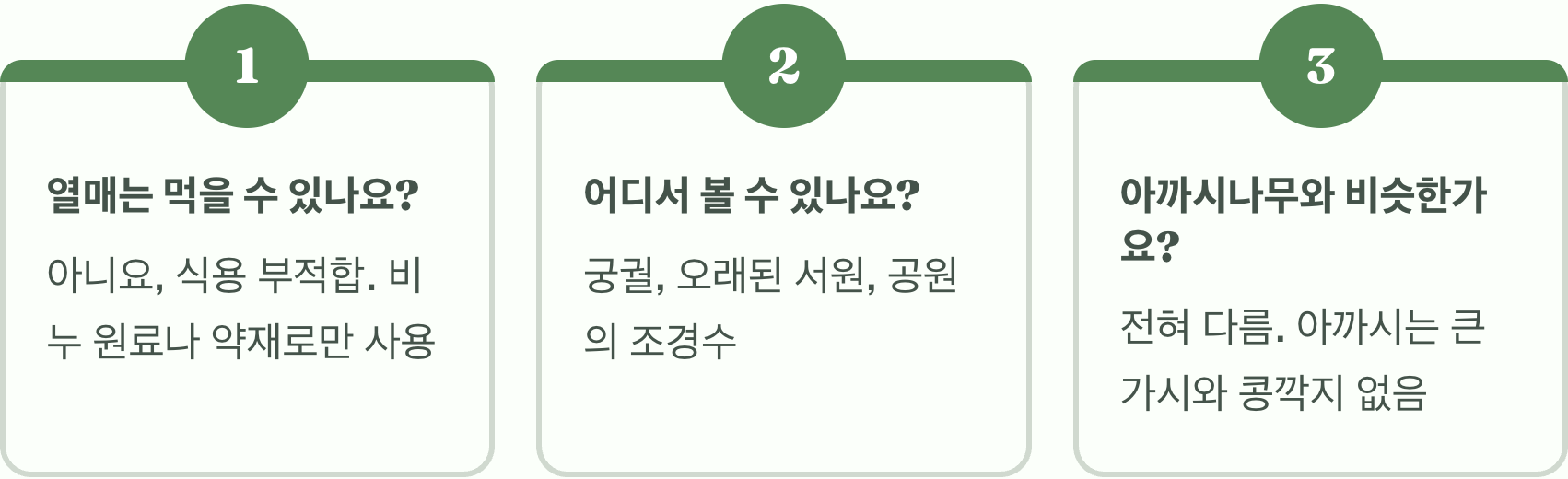 주엽나무의 특징, 한 페이지로 끝내는 완벽 가이드