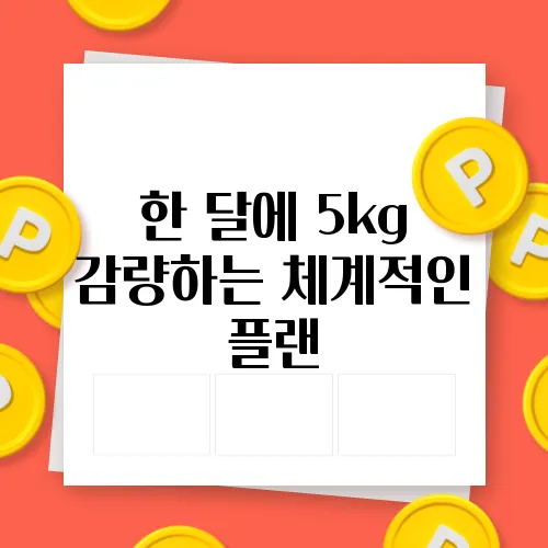 한 달에 5kg 감량하는 체계적인 플랜